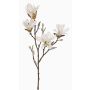 Magnolia étoilé artificiel AZULA, crème, 60cm, Ø7-9cm