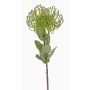 Fleur artificielle Protea BAILY, vert, 50cm, Ø12cm