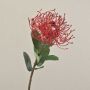 Fleur artificielle Protea BAILY, rouge, 50cm, Ø12cm