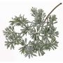 Branche de crossostephium artificiel BILBO, gris-vert, 45cm