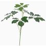 Branche artificielle de Schefflera CAPONE, crossdoor, vert, 50cm