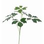 Branche artificielle de Schefflera CAPONE, crossdoor, vert, 50cm