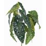 Bégonia Tamaya artificiel HANSE sur piquet, vert-blanc, 40cm