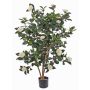 Plante artificielle Camellia Japonica SENTA, vrais troncs, fleurs, crème, 135cm