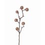 Branche de chardon artificiel ROBBY, cuivre, 80cm, Ø4cm