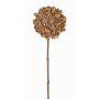 Branche d'anis étoilé artificielle CATBERT, marron clair, 70cm, Ø10cm