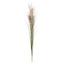 Branche décorative Roseau FROGIL avec des panicules, vert-beige, 135cm