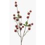 Branche décorative de rosier tubéreux BREVON avec cynorrhodons, rouge, 80 cm
