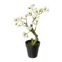 Arbre artificiel Bonsaï amandier OYOS en pot décoratif, avec des fleurs, blanc, 26cm