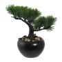 Arbre artificiel Bonsaï pin FALKE avec des racines, pot en céramique, 19cm