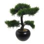 Arbre artificiel Bonsaï cèdre FALKE, pot en céramique, 35cm
