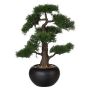 Arbre artificiel Bonsaï cèdre FALKE, pot en céramique, 50cm
