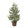 Arbre décoratif Épicéa MALKE en pot décoratif, enneigé, 65cm