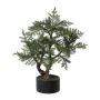 Arbre artificiel Bonsaï araucaria LONSA en pot décoratif, 75cm