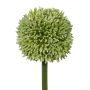 Fleur décorative Allium MENKES, vert, 65cm