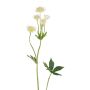 Branche décorative « Sterndolde » GRUHEN, blanc-crème, 65 cm