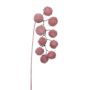 Branche décorative Platane FLERMO avec des fruits, suspendu, givré, vieux rose, 60cm