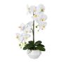 Fleur en plastique Orchidée Phalaenopsis KASDA, pot en céramique, racines, blanc, 50cm
