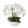Fleur en plastique Orchidée Phalaenopsis KASDA, coupe en céramique, racines, blanc, 55cm