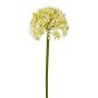 Fleur décorative Allium FERKU, crème, 35cm