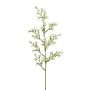 Branche décorative Ipheion KLIRMO, blanc, 60cm