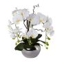 Arrangement d'orchidée et de saule tire-bouchon décoratif LULUDI, pot en céramique argenté, racines, blanc, 55cm