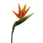 Fleur décorative Strelitzia BARABE, orange-violet, 100cm