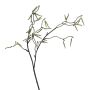 Branche décorative Bouleau FLOREM avec des fleurs, crème, 55cm