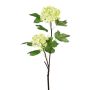 Branche décorative Boule de neige SNALMO, vert clair, 50cm
