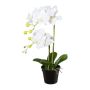 Fleur en plastique Orchidée Phalaenopsis WENJAN, pot décoratif, racines, blanc, 55cm