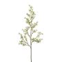 Branche décorative Jasmin PLOVER, blanc, 80cm