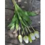Bouquet de tulipes artificielles LONA, blanc-vert, 35cm, Ø15cm