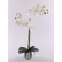 Orchidée Phalaenopsis artificielle KAREN, pot décoratif, givré, blanc, 50cm
