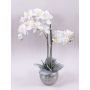 Orchidée Phalaenopsis artificielle KAREN, pot décoratif, givré, blanc, 60cm