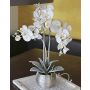 Orchidée Phalaenopsis artificielle KAREN, pot décoratif, givré, blanc, 60cm