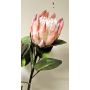 Branche fleurie décorative Protée royale TANIEKA, rose-blanc, 70cm