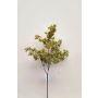 Branche de saule artificiel LOTTIKA avec mousse, vert, 75cm