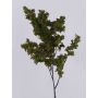 Branche de saule artificiel LOTTIKA avec mousse, vert, 75cm