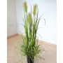 Herbe de la Pampa décorative TALINDA avec des panicules, vert, 120cm