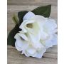 Bouquet de magnolias artificiel KAYLE, crème-blanc, 30cm