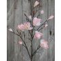 Branche de magnolia artificielle YONA, rose-jaune, 130cm