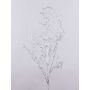 Branche de saule décorative DONATELLA, argent, 95cm