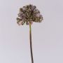 Fleur artificielle Hortensia MANDISA, vert-rose, 65cm