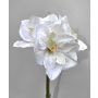 Fleur décorative Amaryllis MARKUNO, crème-blanc, 60cm