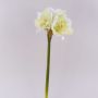 Fleur décorative Amaryllis MARKUNO, crème-blanc, 60cm