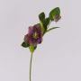 Fleur artificielle Rose de Noël MITTWEIDA, violet-vert, 35cm