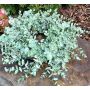 Couronne d'eucalyptus artificielle JULERTE, vert-gris, Ø40cm