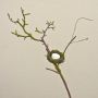 Branche de pommier artificielle INDIKIRKA avec un nid d'oiseau, mousse, brun-vert, 75cm