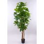 Schefflera artificielle MURSIK, tiges naturelles, verte, 180cm