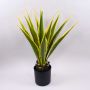 Agave furcraea gigantea artificiel CHERIE, vert-jaune, 80cm